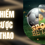 Bảo Hiểm Vé Cược Thể Thao - Khuyến Mãi Độc Quyền Tại ALO8